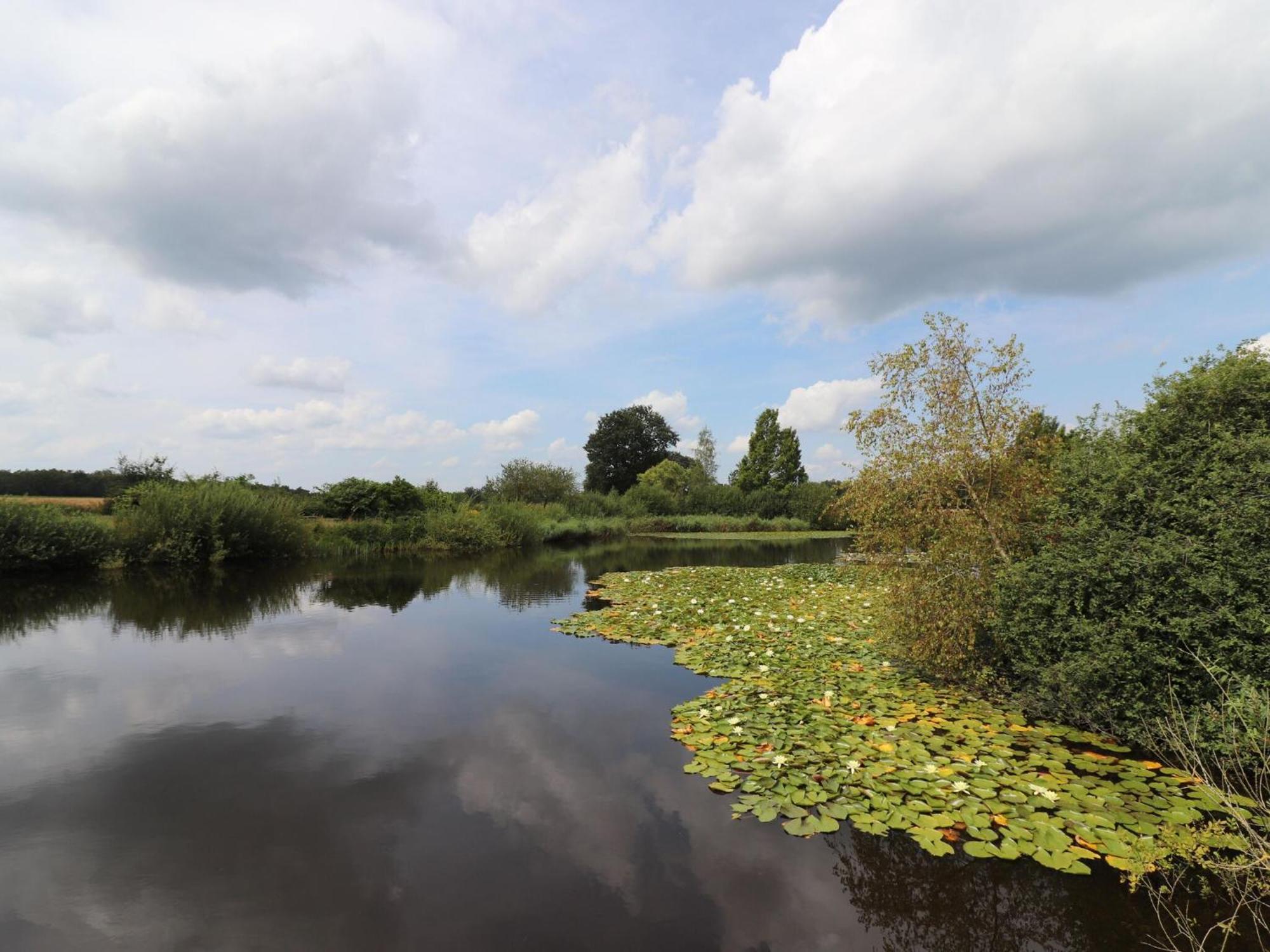 Villa On An Estate In Rheezerveen With Garden Экстерьер фото